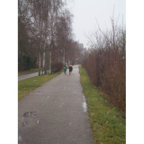 Bild 13 zum Block 1742