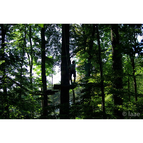 Bild 56 zum Block 1923