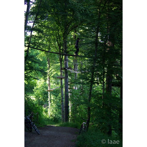 Bild 115 zum Block 1923