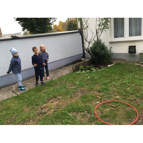 Bild 7 zum Block 2208