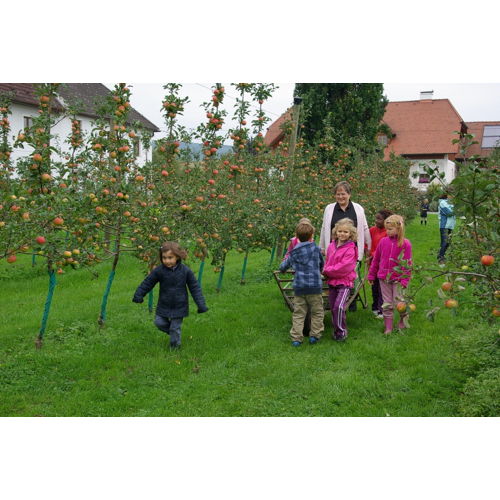Bild 9 zum Block 1942
