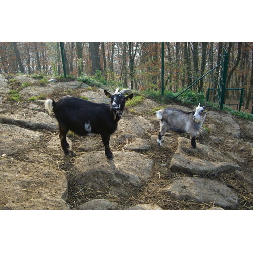 Bild 15 zum Block 1965