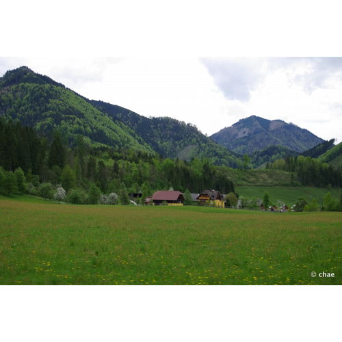 Bild 9 zum Block 1997
