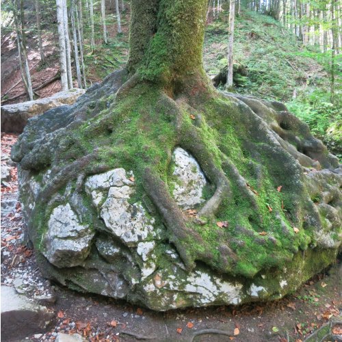 Bild 7 zum Block 2925