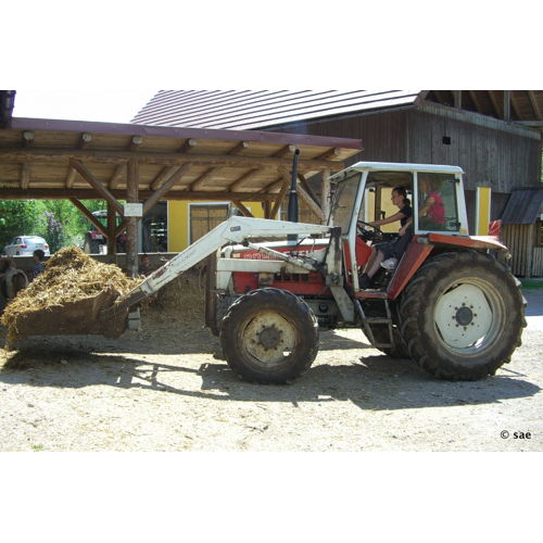 Bild 32 zum Block 1999