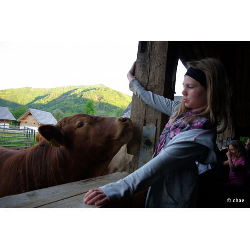 Bild 56 zum Block 2000