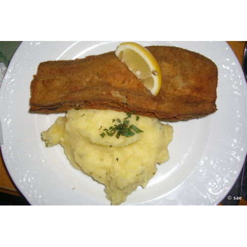 Bild 51 zum Block 2000