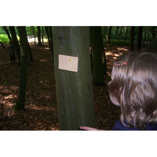 Bild 9 zum Block 2005