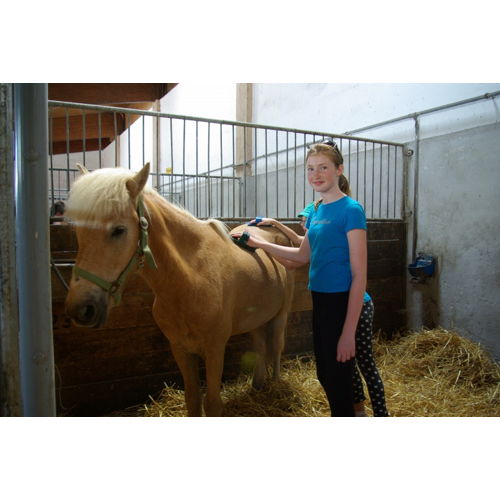 Bild 1 zum Block 2007