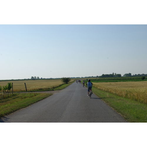 Bild 2 zum Block 2008