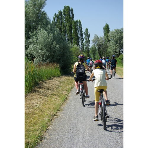 Bild 4 zum Block 2010