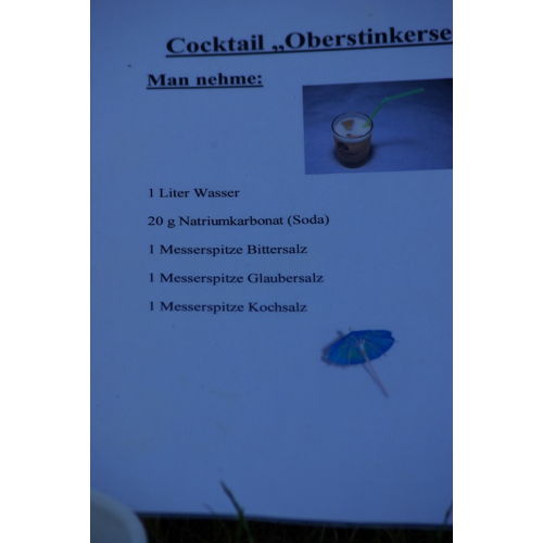 Bild 12 zum Block 2010