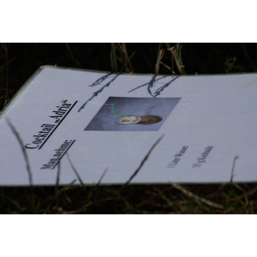 Bild 18 zum Block 2010