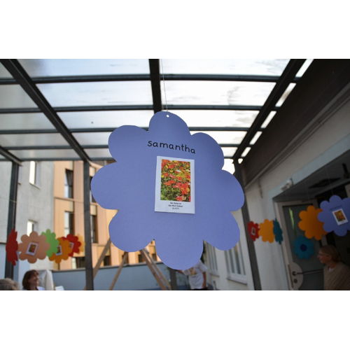 Bild 4 zum Block 2016