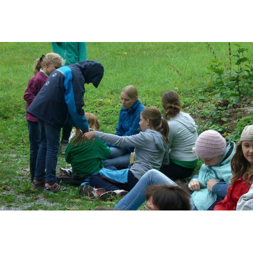 Bild 28 zum Block 2017