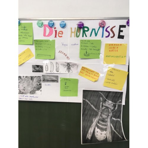 Bild 5 zum Block 3229