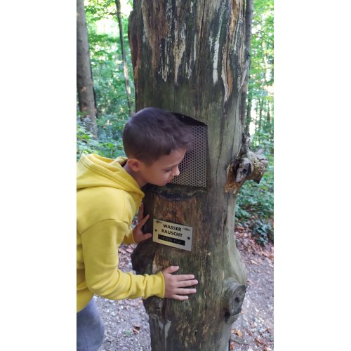 Bild 9 zum Block 3324