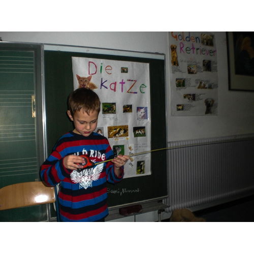 Bild 17 zum Block 2033