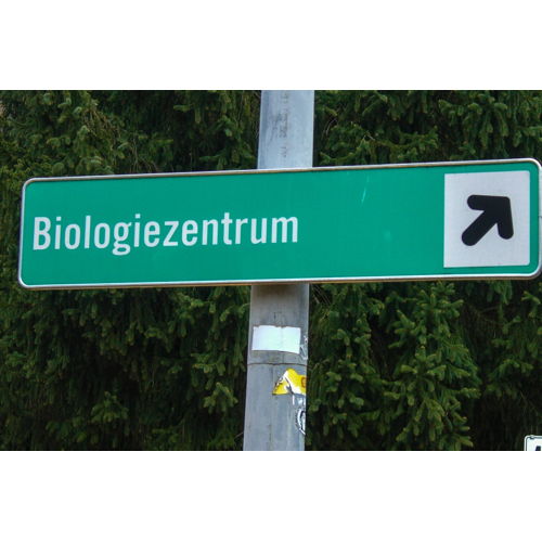 Bild 1 zum Block 2035