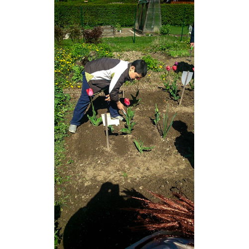 Bild 4 zum Block 2153