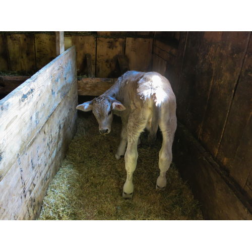 Bild 15 zum Block 2157