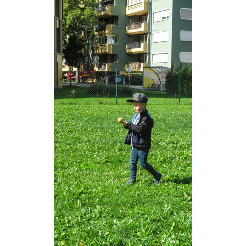 Bild 17 zum Block 2162