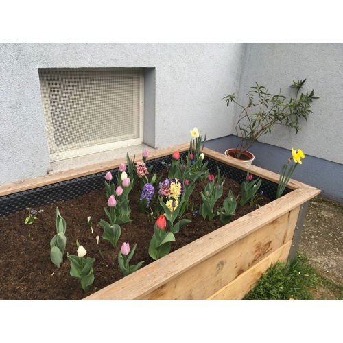 Bild 2 zum Block 2166