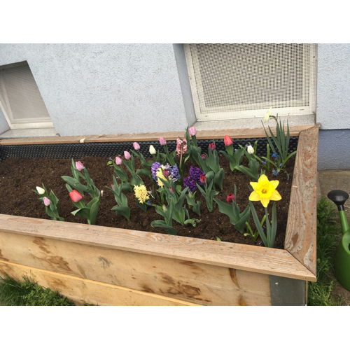 Bild 3 zum Block 2166