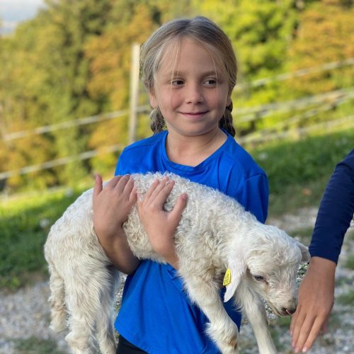 Bild zum Weblog Der Bauernhof, den man kennen muss