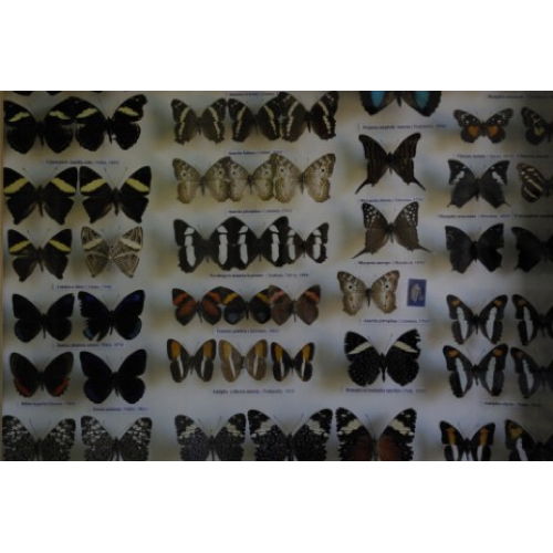 Bild 14 zum Block 1828